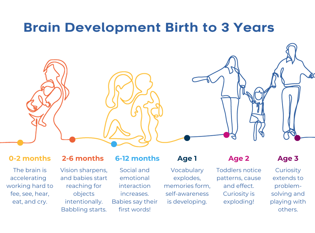 Brain Development Birth to 3 Years graphic 0-2 months - the brain is accelerating working hard to feel see hear eat and cry 2-6 months - vision sharpens and babies start reaching for objects intentionally Babbling starts 6-12 months - social and emotional interaction increases Babies say their first words Age 1 - Vocabulary explodes memories form self-awareness is developing Age 2 - Toddlers notice patterns cause and effect Curiosity is exploding Age 3 - Curiosity extends to problem - solving and playing with others